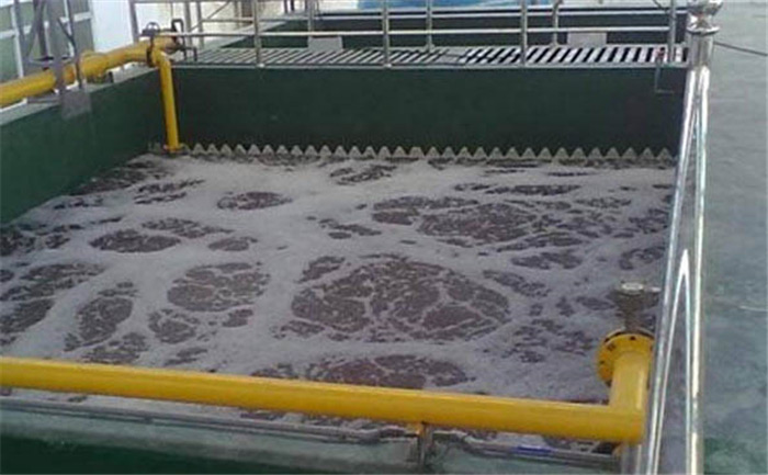 （圖：循環(huán)水起泡現(xiàn)場(chǎng)）