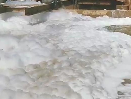 （圖：動(dòng)物屠宰廢水起泡原因）