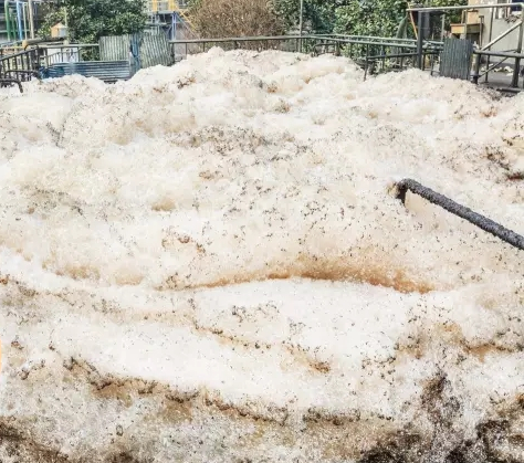 （圖：客戶電廠污水池泡沫）