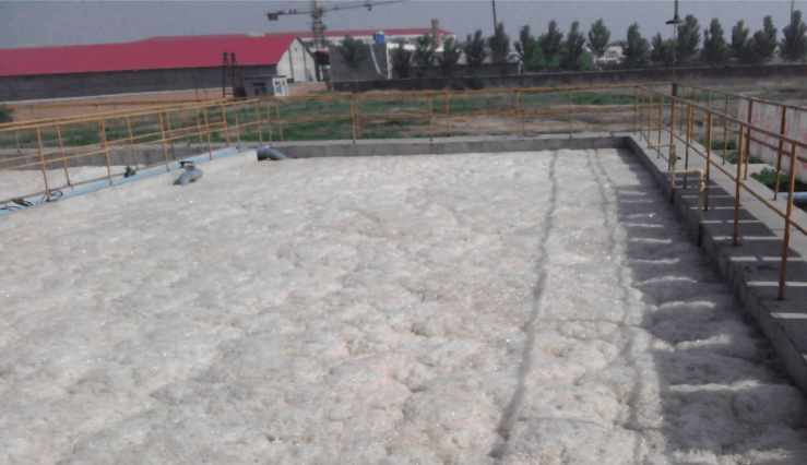 （圖：污水廠泡沫池現(xiàn)場）