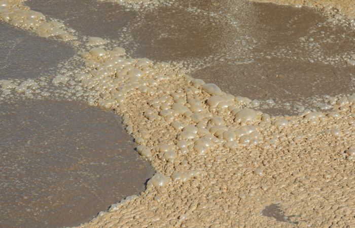 （圖：反滲透水處理泡沫池）