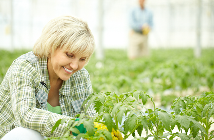 （圖：南輝消泡劑廠家除草劑消泡劑運用）