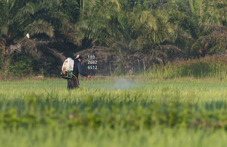 液體肥料消泡劑的作用