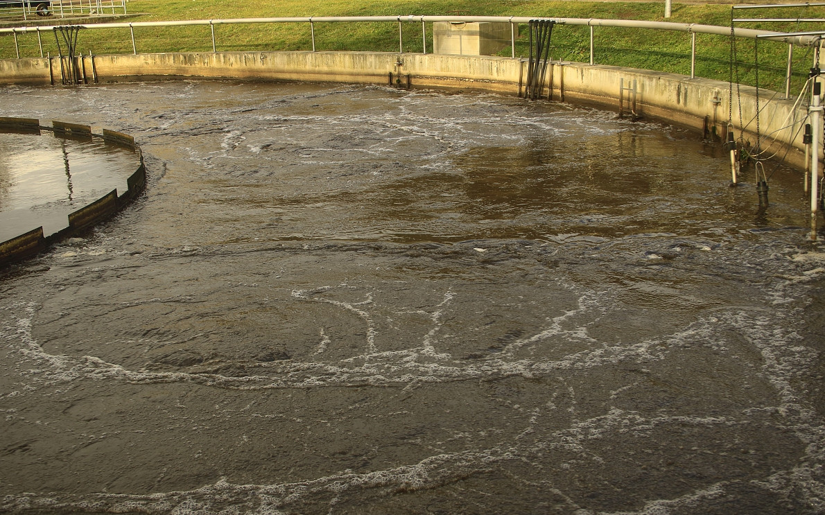 （圖：屠宰場污水泡沫池）