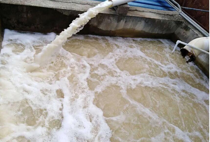 （圖：水循環(huán)沖洗泥沙起泡）