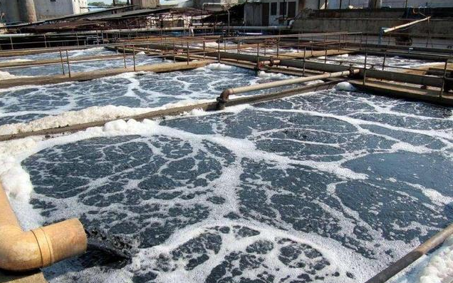 （圖：垃圾站污水起泡池）