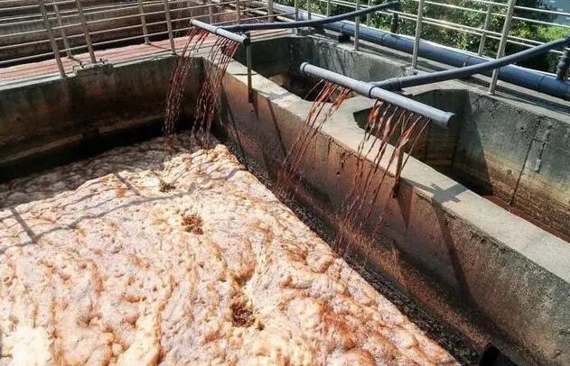 （圖：垃圾滲濾液泡沫池）