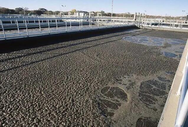 （圖：化糞池污水處理起泡場(chǎng)景）