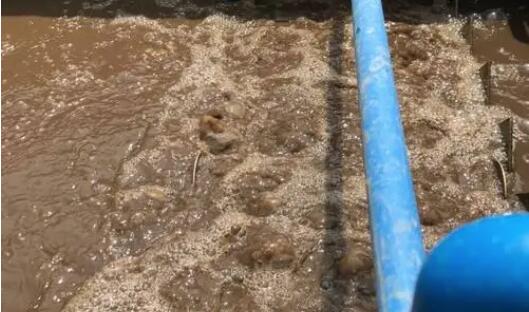 （圖：南輝客戶(hù)生化污水池起泡場(chǎng)景）