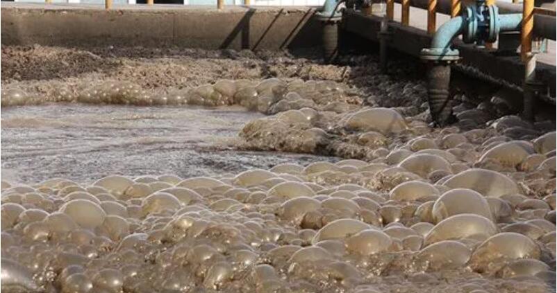 （圖：南輝水處理消泡劑應(yīng)用）